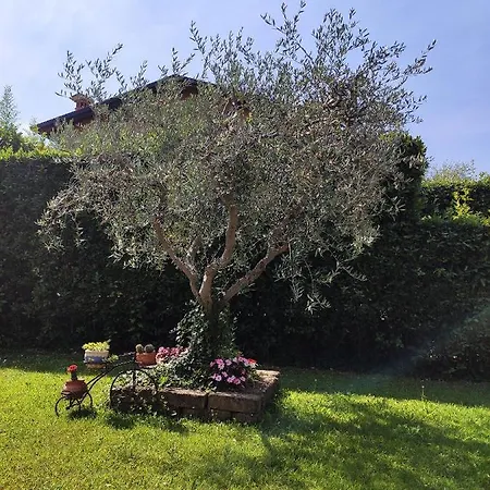 La Casara In The Center Lazise