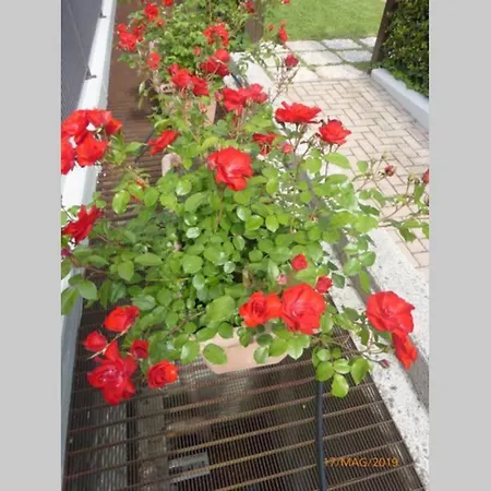 La Casara In The Center לאזיסה